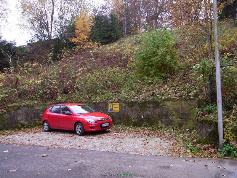 Wildemann Geräumiges teilrenoviertes Fachwerkhaus Haus kaufen