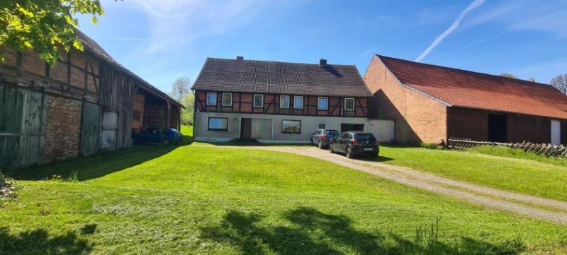 Hahausen Ehemaliger Bauernhof, Hofstelle mit Wohnhaus, Scheune und großem Grundstück Haus kaufen