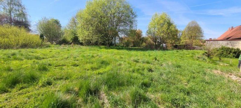 Hahausen Ehemaliger Bauernhof, Hofstelle mit Wohnhaus, Scheune und großem Grundstück Haus kaufen