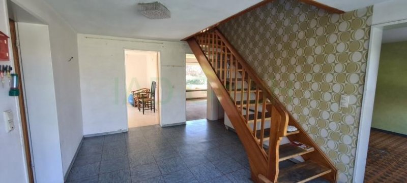 Hahausen Ehemaliger Bauernhof, Hofstelle mit Wohnhaus, Scheune und großem Grundstück Haus kaufen