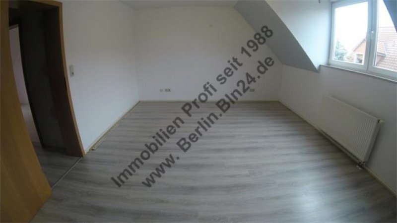 Halberstadt Ein Einfamilienhaus zur Kapitalanlage im Harz voll unterkellert und Terrasse sowie Garten Haus kaufen