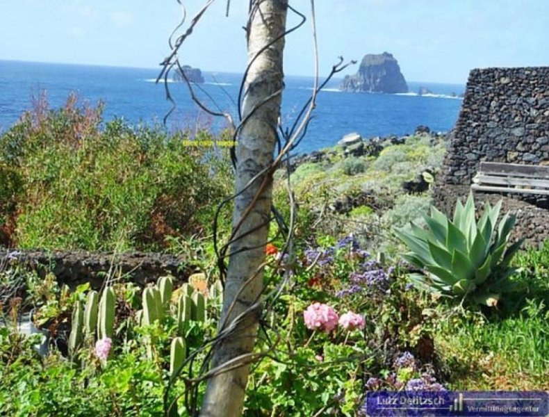 Frontera Anwesen mit Pool und Panoramablick auf El Hierro Haus kaufen