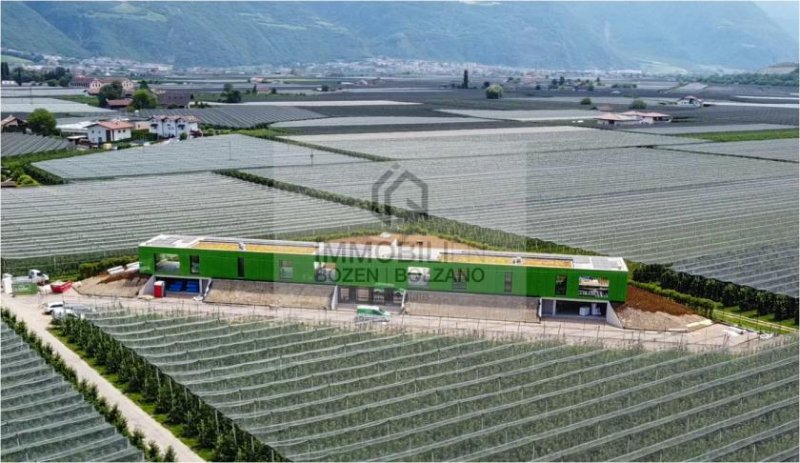 Bozen Designer Villa mit Garten und Pool im Grünen zu verkaufen Haus kaufen