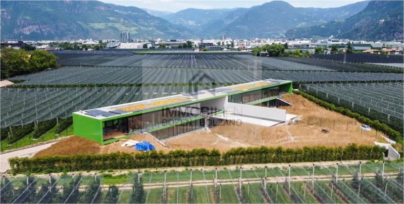 Bozen Designer Villa mit Garten und Pool in Bozen, Südtirol zu verkaufen Haus kaufen