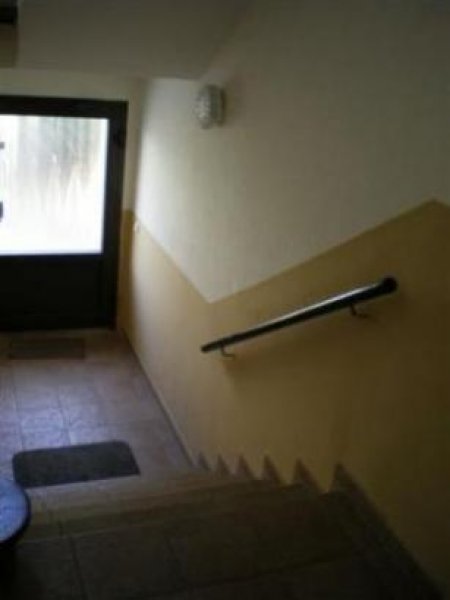 Magdeburg MFH in Magdeburg Haus kaufen