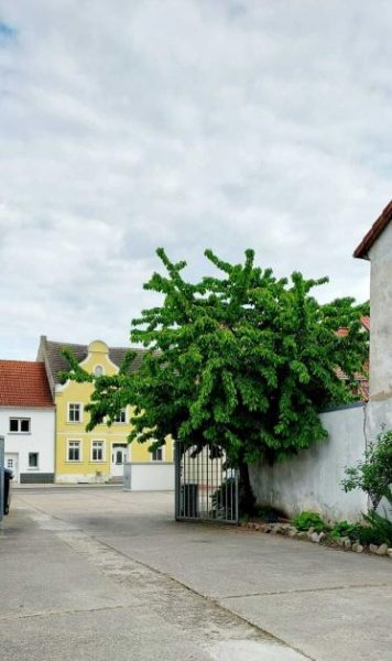 Barby Erfolgreich geführte Gastronomie-Immobilie in Top-Lage am Rathausplatz von Barby Gewerbe kaufen