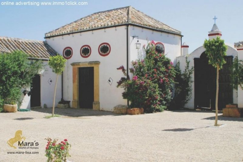 Sevilla Finca, Cortijo mit Ställen nahe Sevilla, Andalusien zu verkaufen Haus kaufen