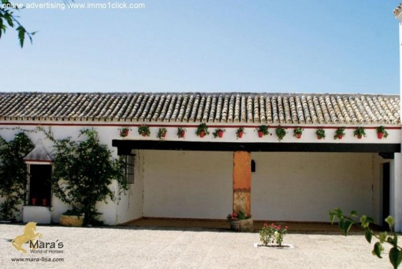 Sevilla Finca, Cortijo mit Ställen nahe Sevilla, Andalusien zu verkaufen Haus kaufen