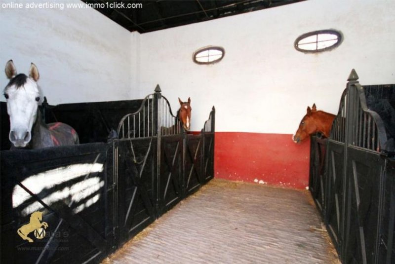 Sevilla Finca, Cortijo mit Ställen nahe Sevilla, Andalusien zu verkaufen Haus kaufen