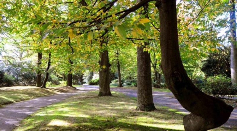 Mönchengladbach Attraktive Kapitalanlage in Mönchengladbach - Hockstein! Gewerbe kaufen