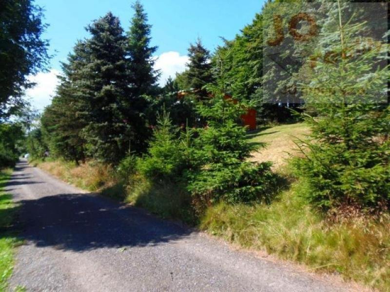 Dlouha Louka Ferienhaus im grenznahem Skiareal Dlouha Louka (Top Zustand) Haus kaufen