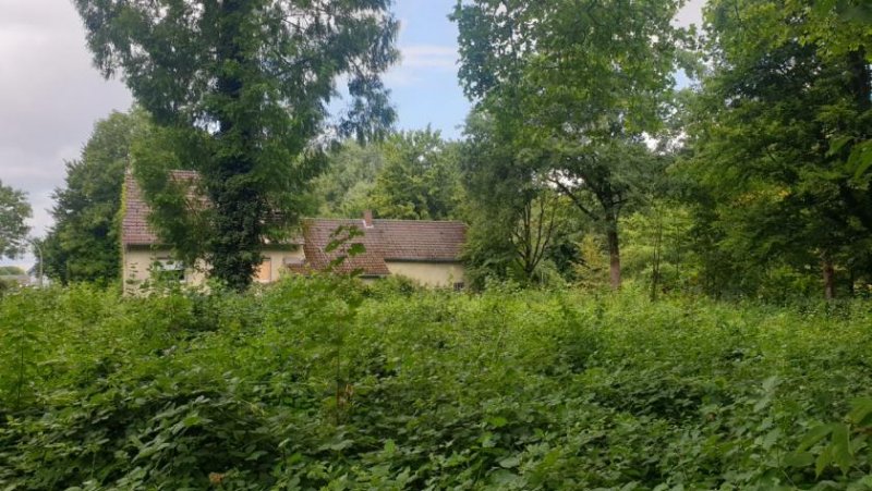 Dortmund 1350 qm Entwicklungsgrundstück mit 2 abrissreifen Häusern Grundstück kaufen