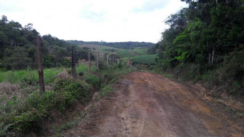 Ponta da Tulha Auswandern nach Bahia – Farmparadies nahe Ilhéus mit 140 ha Haus kaufen