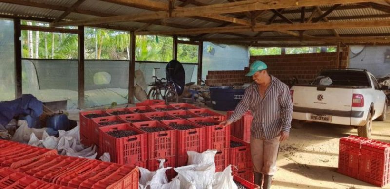 Ponta da Tulha Auswandern nach Bahia – Farmparadies nahe Ilhéus mit 140 ha Haus kaufen