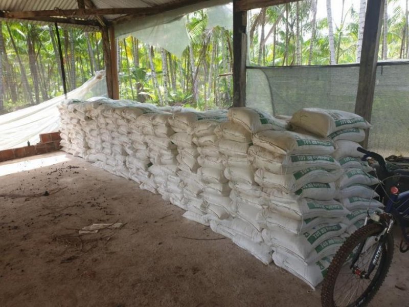 Ponta da Tulha Auswandern nach Bahia – Farmparadies nahe Ilhéus mit 140 ha Haus kaufen