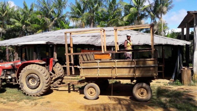 Ponta da Tulha Auswandern nach Bahia – Farmparadies nahe Ilhéus mit 140 ha Haus kaufen