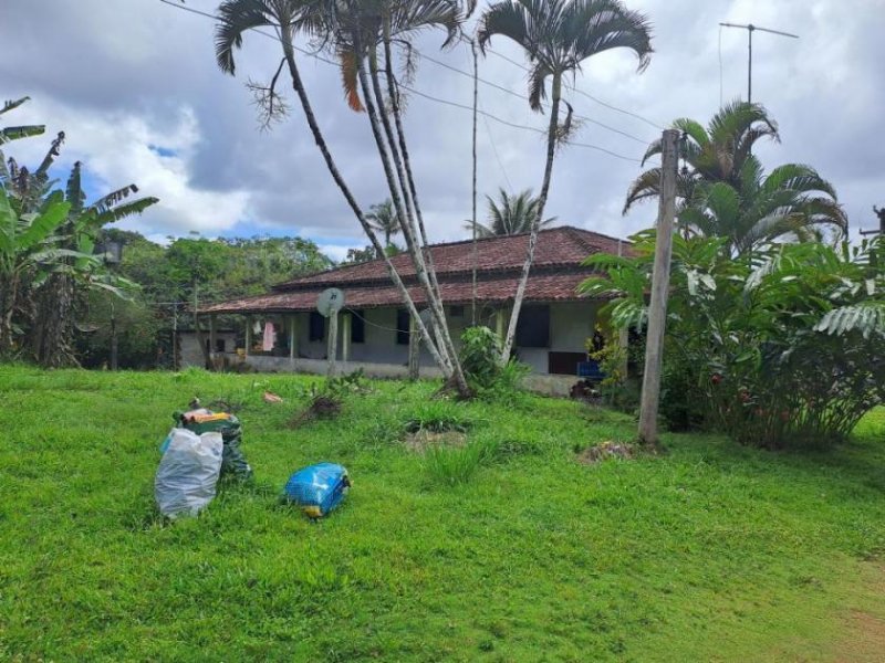 Ponta da Tulha Auswandern nach Bahia – Farmparadies nahe Ilhéus mit 140 ha Haus kaufen