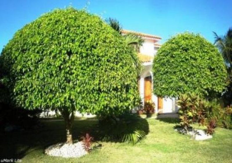 Sosúa/Dominikanische Republik Sosua: wunderschöne zweistöckige Villa mit 175 qm (1 884 sqft) Wohnfläche auf 910 qm (9 795 sqft) Grundstück in privater