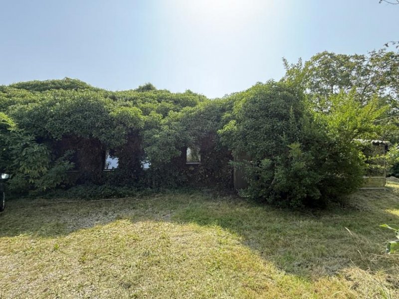 Emmerich am Rhein Sanierungsbedürftiger Bauernhof mit Nebengebäuden im Außenbereich von Emmerich-Elten Haus kaufen