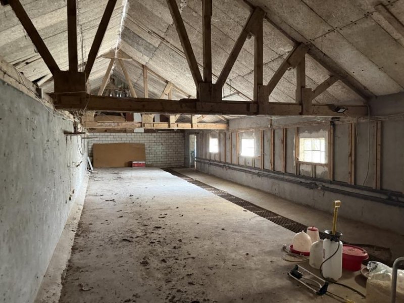 Emmerich am Rhein Sanierungsbedürftiger Bauernhof mit Nebengebäuden im Außenbereich von Emmerich-Elten Haus kaufen