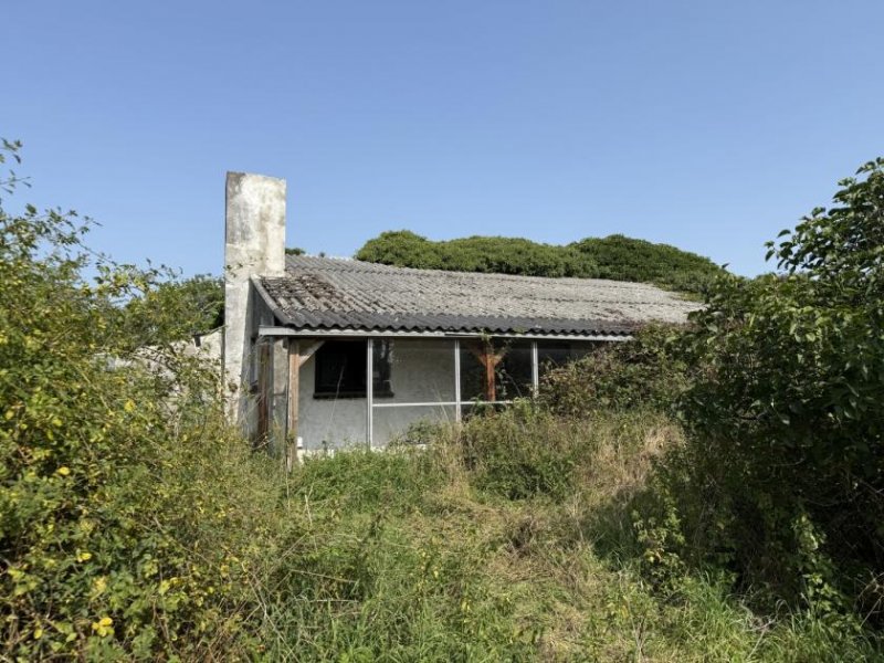 Emmerich am Rhein Sanierungsbedürftiger Bauernhof mit Nebengebäuden im Außenbereich von Emmerich-Elten Haus kaufen