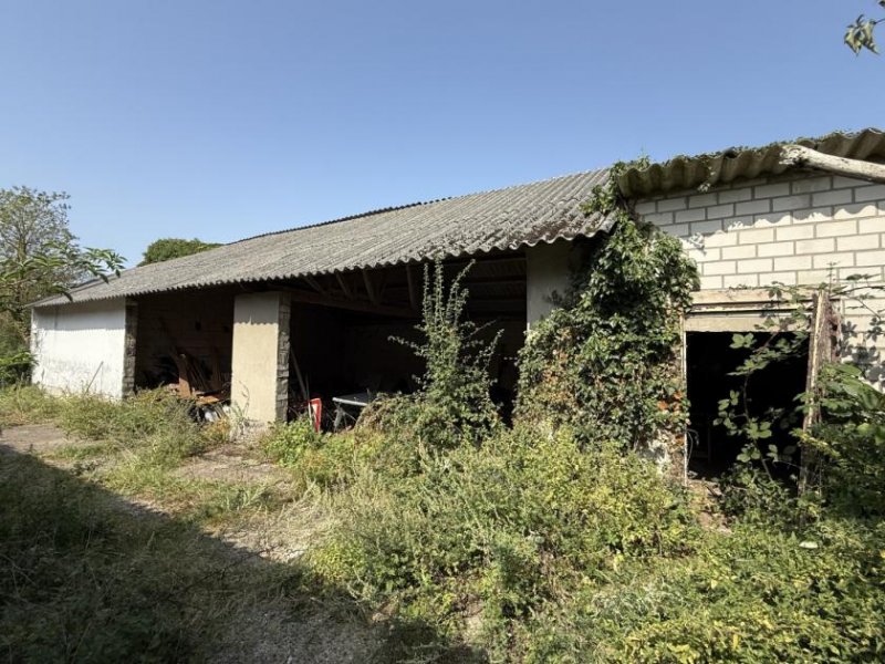 Emmerich am Rhein Sanierungsbedürftiger Bauernhof mit Nebengebäuden im Außenbereich von Emmerich-Elten Haus kaufen