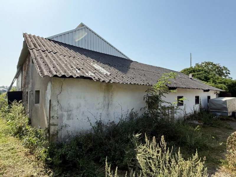 Emmerich am Rhein Sanierungsbedürftiger Bauernhof mit Nebengebäuden im Außenbereich von Emmerich-Elten Haus kaufen