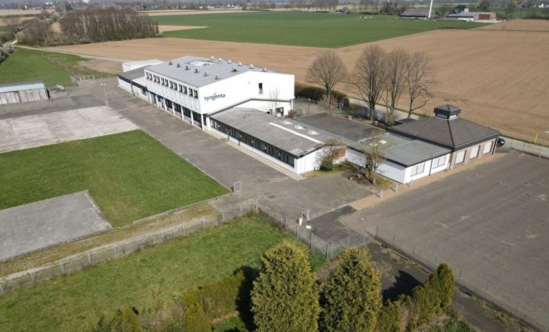 Kleve (Kreis Kleve) Vielseitig nutzbares Gewerbeobjekt mit Büro- und Lagergebäude in Kleve-Kellen Gewerbe kaufen