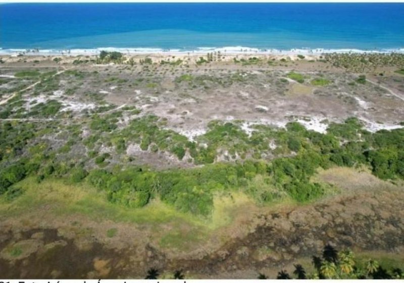 Barra do Itariri Strandgrundstück Barra do Itariri 40.000 m² - 12029 Grundstück kaufen