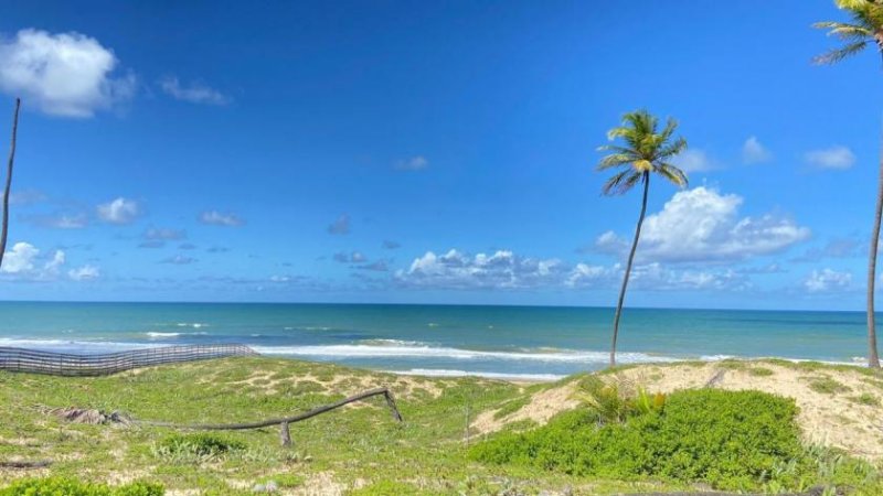 Barra do Itariri Strandgrundstück Barra do Itariri 40.000 m² - 12029 Grundstück kaufen
