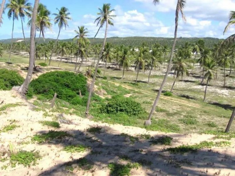 Barra do Itariri Strandgrundstück Barra do Itariri 40.000 m² - 12029 Grundstück kaufen