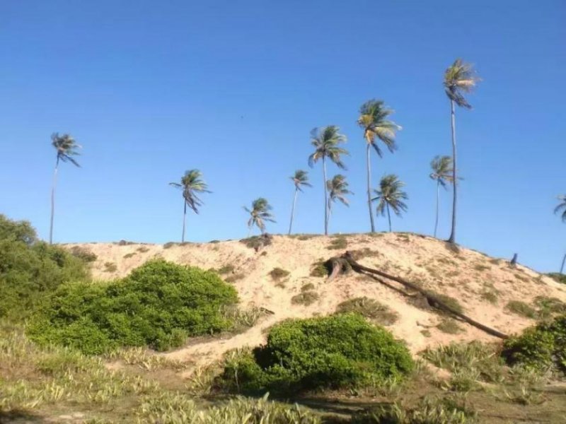 Barra do Itariri Strandgrundstück Barra do Itariri 40.000 m² - 12029 Grundstück kaufen
