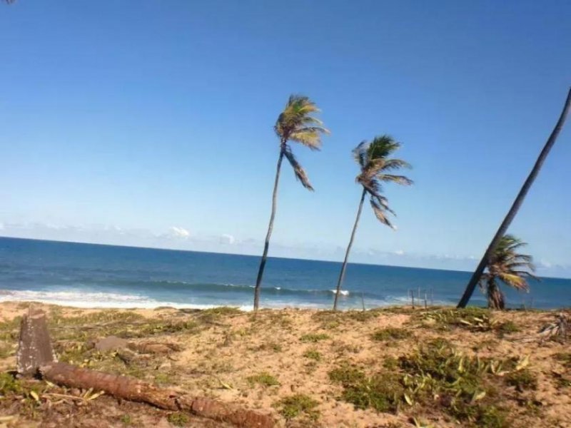 Barra do Itariri Strandgrundstück Barra do Itariri 40.000 m² - 12029 Grundstück kaufen