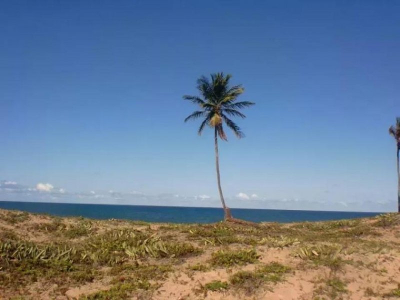 Barra do Itariri Strandgrundstück Barra do Itariri 40.000 m² - 12029 Grundstück kaufen
