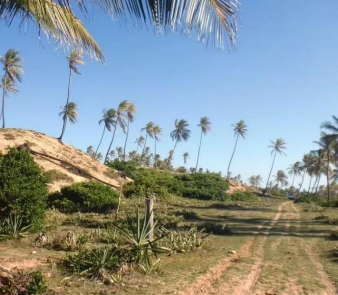 Barra do Itariri Strandgrundstück Barra do Itariri 40.000 m² - 12029 Grundstück kaufen