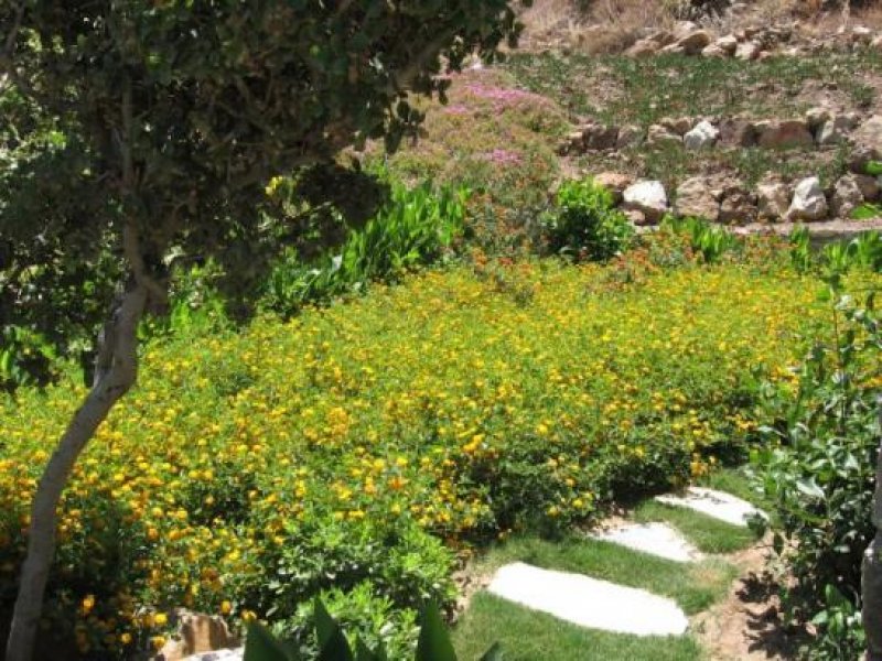 Bodrum Luxus Meerblick Wohnung In Bodrum Wohnung kaufen