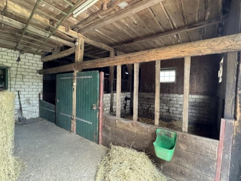 Nordhorn Resthof - 2 Wohneinheiten mit Nebengebäuden - Pferdehaltung möglich. Haus kaufen