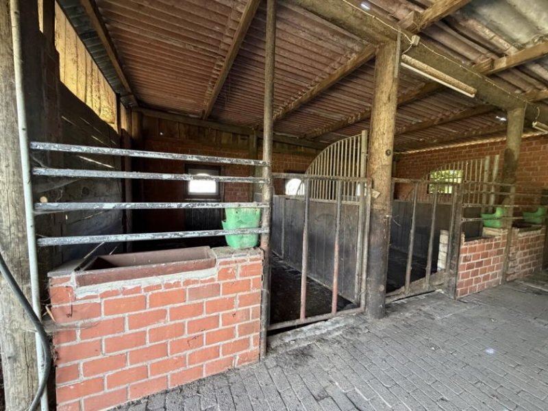 Nordhorn Resthof - 2 Wohneinheiten mit Nebengebäuden - Pferdehaltung möglich. Haus kaufen
