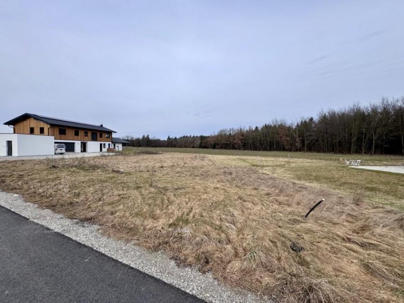 Mining Baugrundstück in attraktiver Lage nahe Braunau am Inn Grundstück kaufen