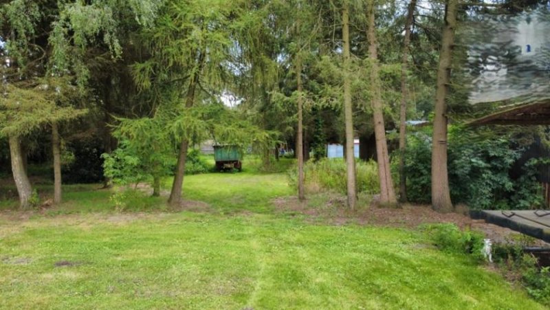 Löningen *BESONDERE CHANCE*
Großzügig wohnen & entwickeln auf ca. 5.000 m² Grundstück Haus kaufen
