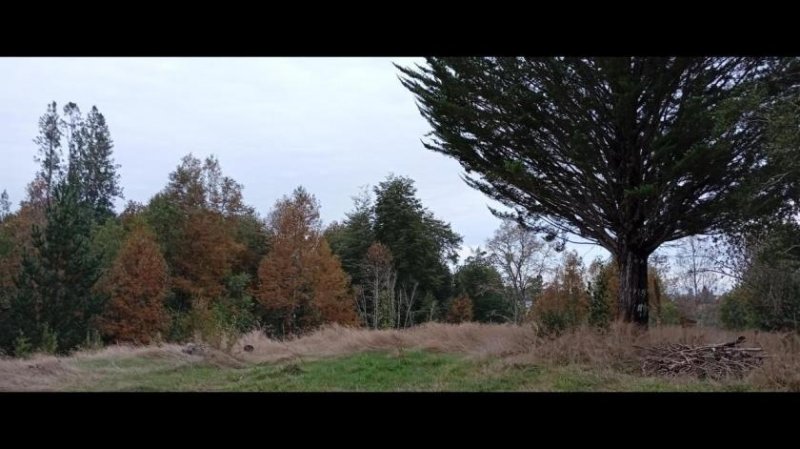 Loncoche 2 Naturgrundstücke mit Häusern und Wasserläufen in Südchile Haus kaufen