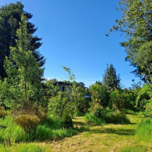 Loncoche 2 Naturgrundstücke mit Häusern und Wasserläufen in Südchile Haus kaufen