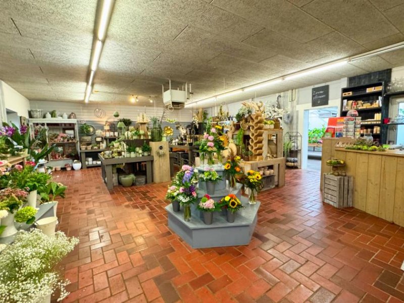 Emlichheim Zentrale Gewerbefläche mit vielseitigen Nutzungsmöglichkeiten Gewerbe kaufen