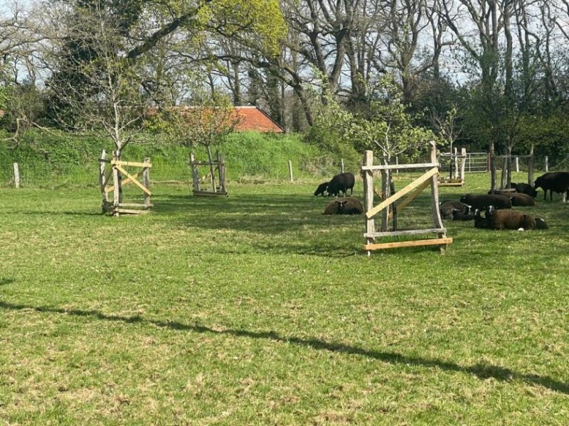 Hoogstede Landhausvilla mit weitläufigem Anwesen in Hoogstede Haus kaufen