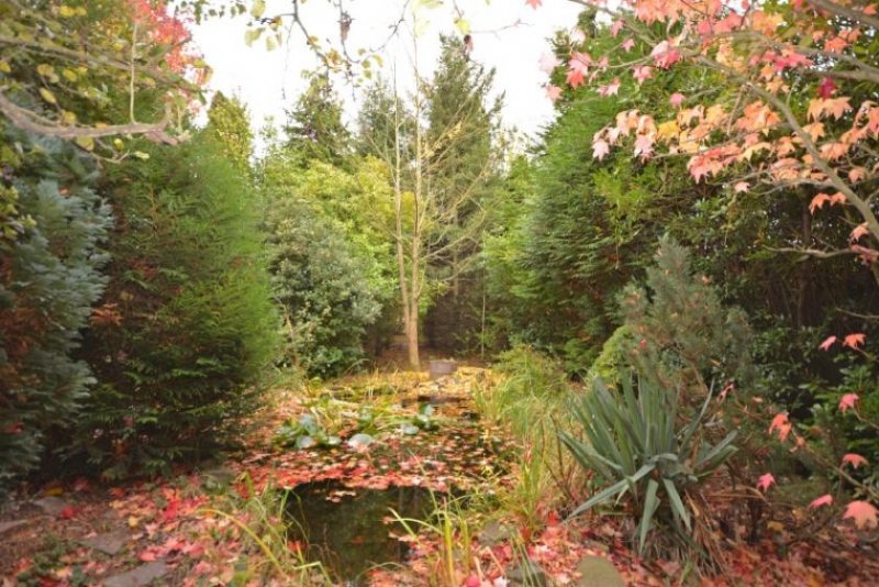 Hürth Modernes Reihenendhaus in Hürth-Hermülheim – Großzügiger Garten und exzellente Verkehrsanbindung Haus kaufen