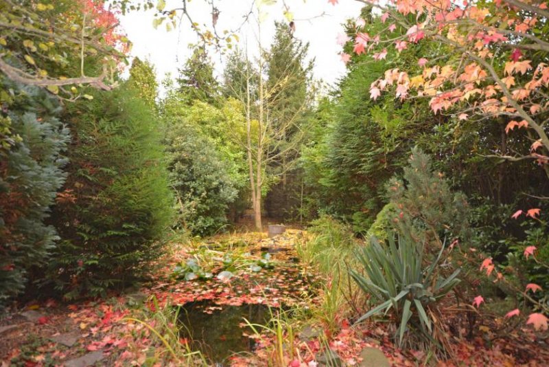 Hürth Modernes Reihenendhaus in Hürth-Hermülheim - Großzügiger Garten und exzellente Verkehrsanbindung Haus kaufen