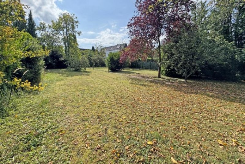 Hürth Platz für Ihre Ideen: Großzügiges Baugrundstück in begehrter Lage von Efferen Grundstück kaufen