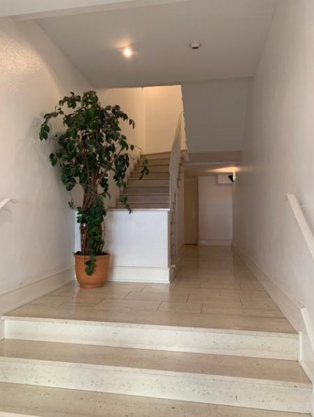 Köln KÖLN INNENSTADT Nähe Neumarkt, helle geräumige 3 Zi. Wohnung, 111 m² Wfl. im 1. OG, gr. Westterrasse Wohnung kaufen