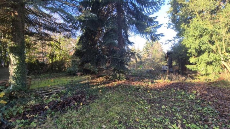 Köln 2 Mehrfamilienhäuser, 6 Wohnungen, denkmalgeschützt, riesiger Garten (A381K) Haus kaufen