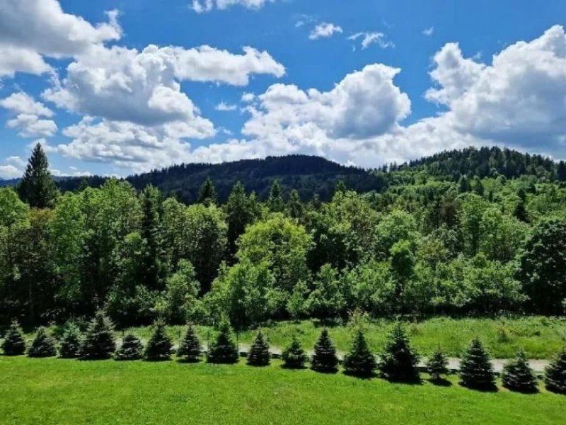 Ravna Gora Zu verkaufen: Abgelegenes Anwesen mit 5.500 m² Bauland im Herzen von Gorski Kotar Haus kaufen